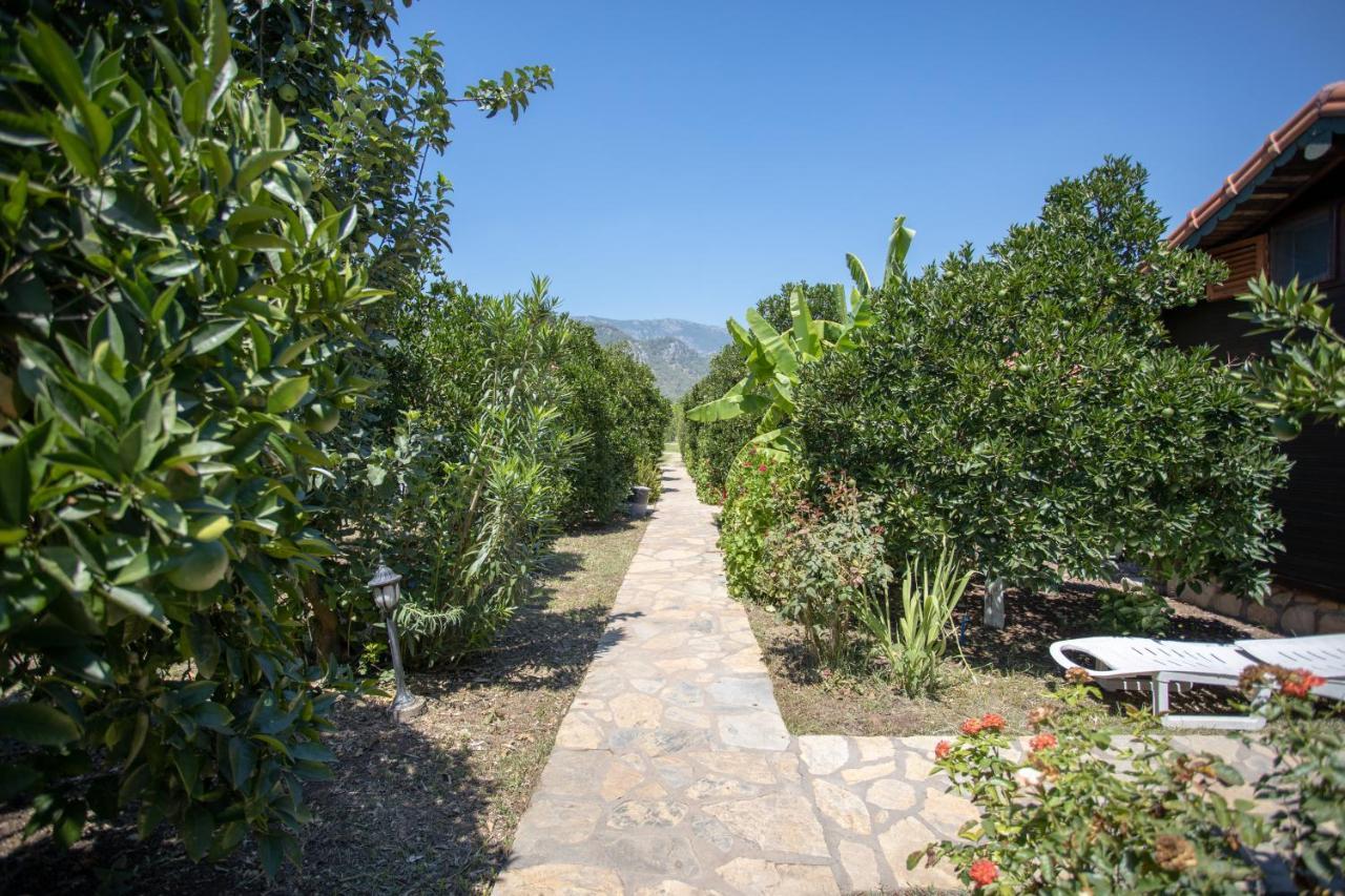 Ugur Pansiyon Bungalows Çıralı 외부 사진