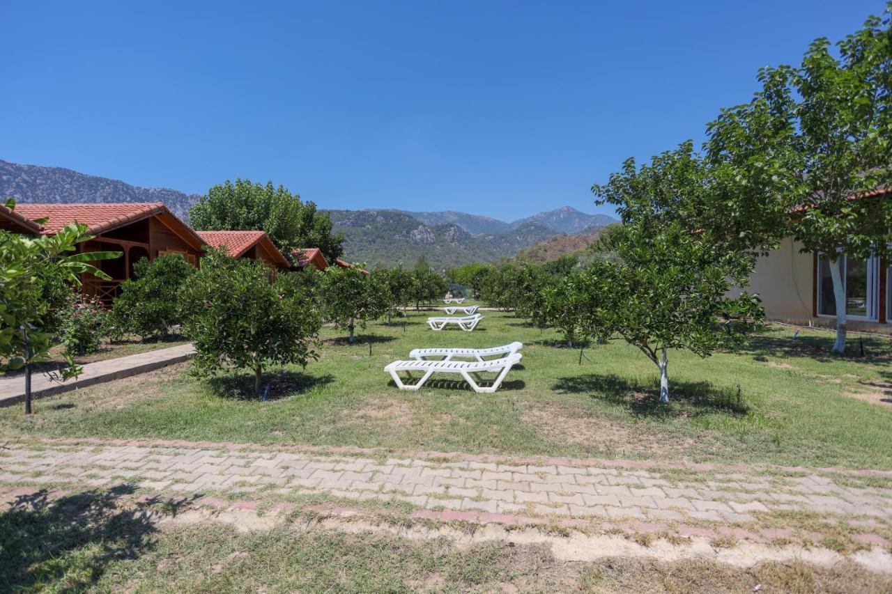 Ugur Pansiyon Bungalows Çıralı 외부 사진