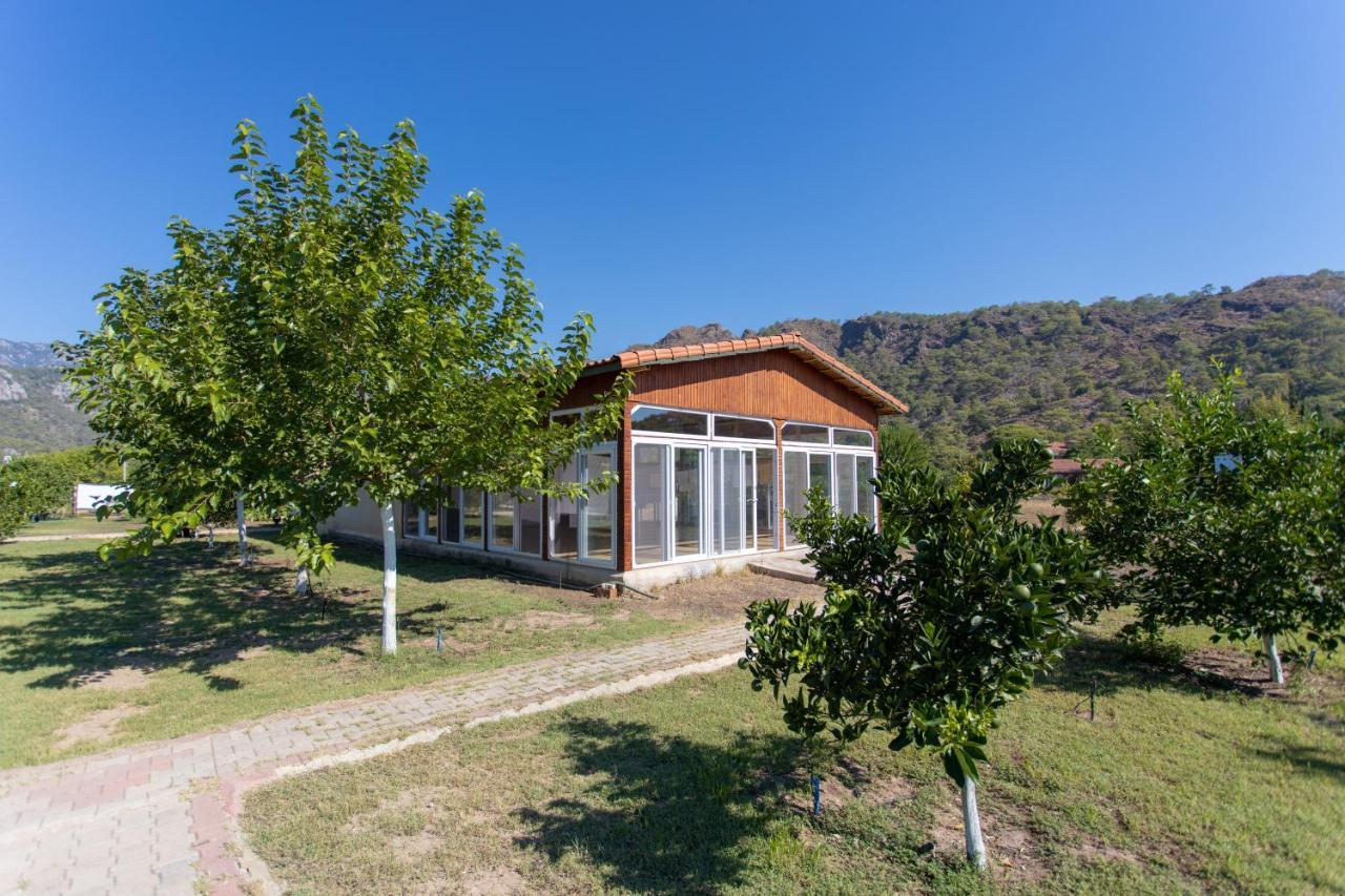 Ugur Pansiyon Bungalows Çıralı 외부 사진