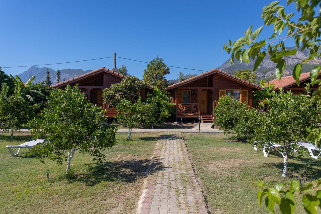 Ugur Pansiyon Bungalows Çıralı 외부 사진